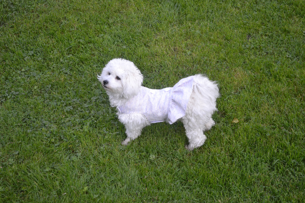 Robe Nelchan pour chien - Couture