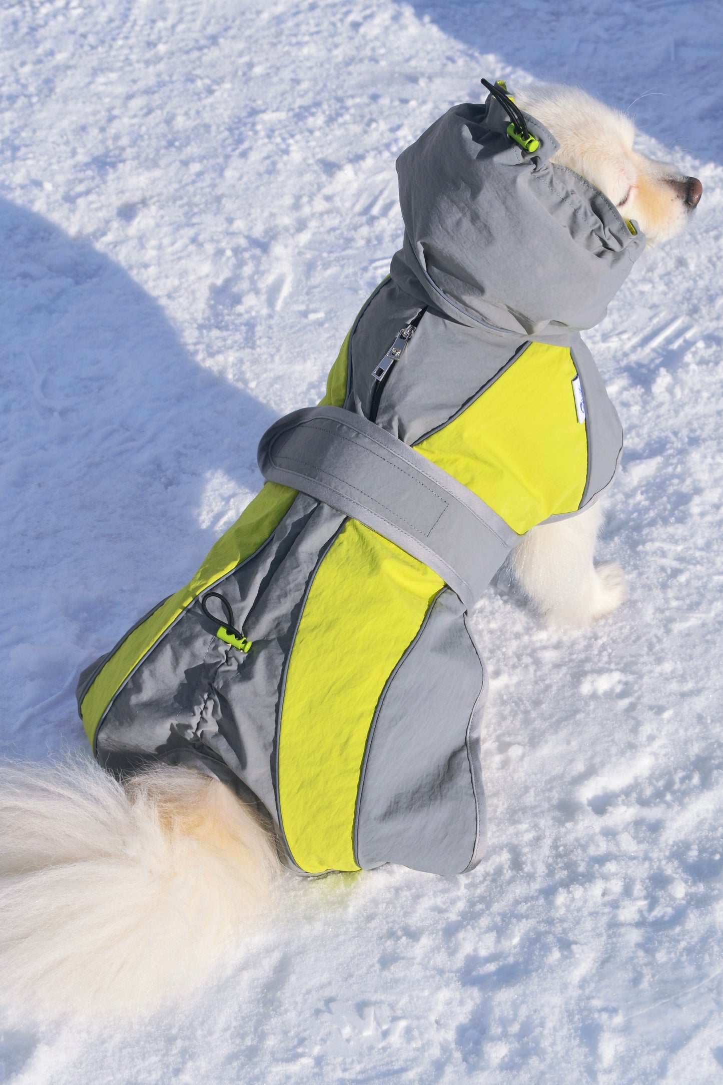 Manteau imperméable à capuche pour chien