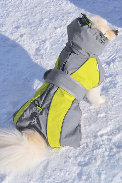 Manteau imperméable à capuche pour chien