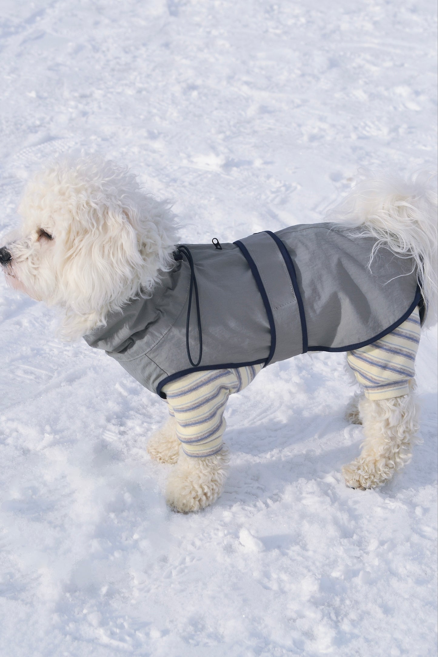 Ensemble imperméable 2 pièces pour chien - Neige de printemps