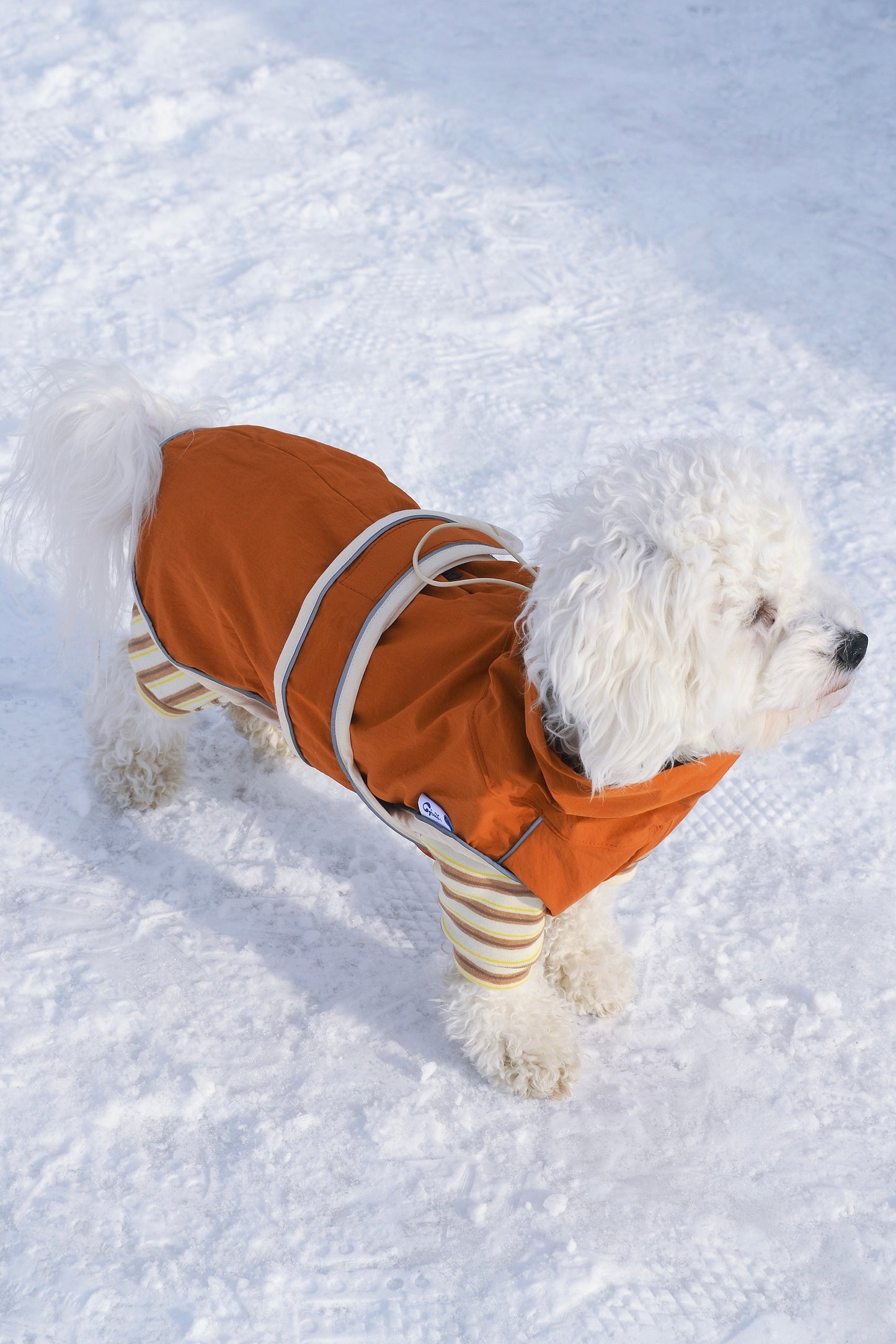 Ensemble imperméable 2 pièces pour chien - Neige de printemps