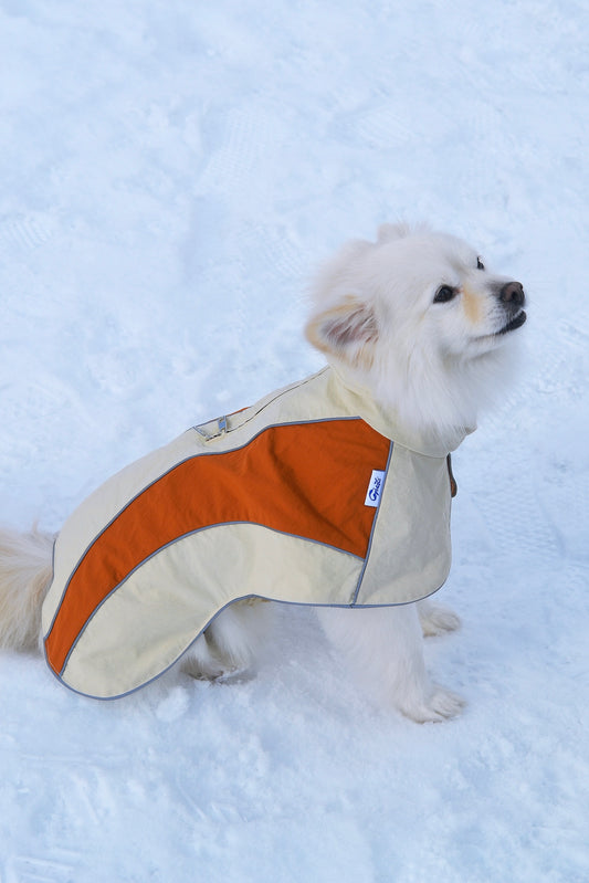 Cape de pluie à capuche pour chien