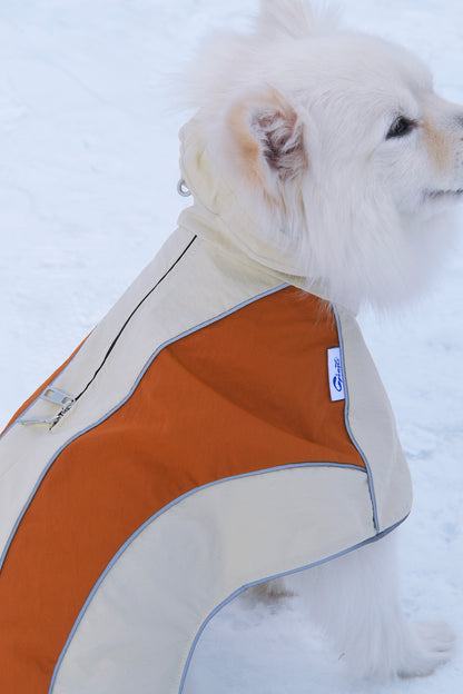 Cape de pluie à capuche pour chien