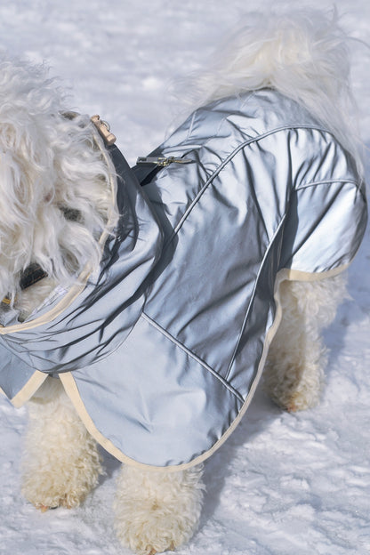 Cape de pluie réfléchissante à capuche pour chien