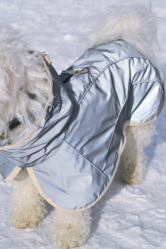 Cape de pluie réfléchissante à capuche pour chien