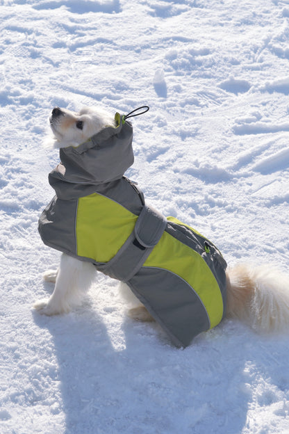 Manteau imperméable à capuche pour chien