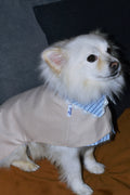 Trench 2-EN-1 pour chien – Édition Dentelle