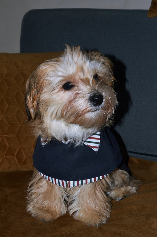 Trench 2-EN-1 pour chien