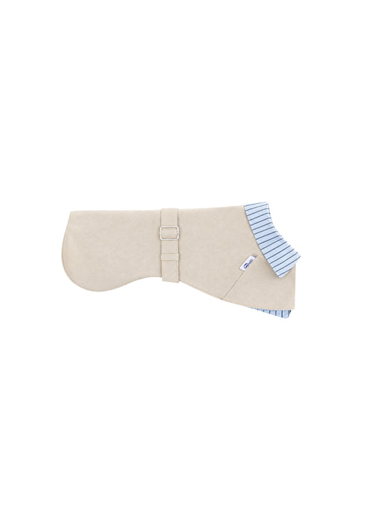 Trench Coat Beige pour Chien/Teckel