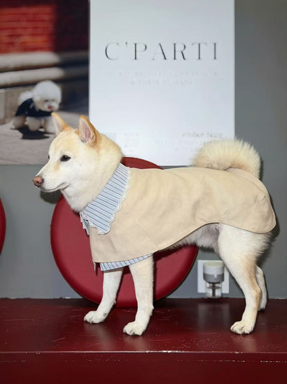 Trench Coat Beige pour Chien/Teckel