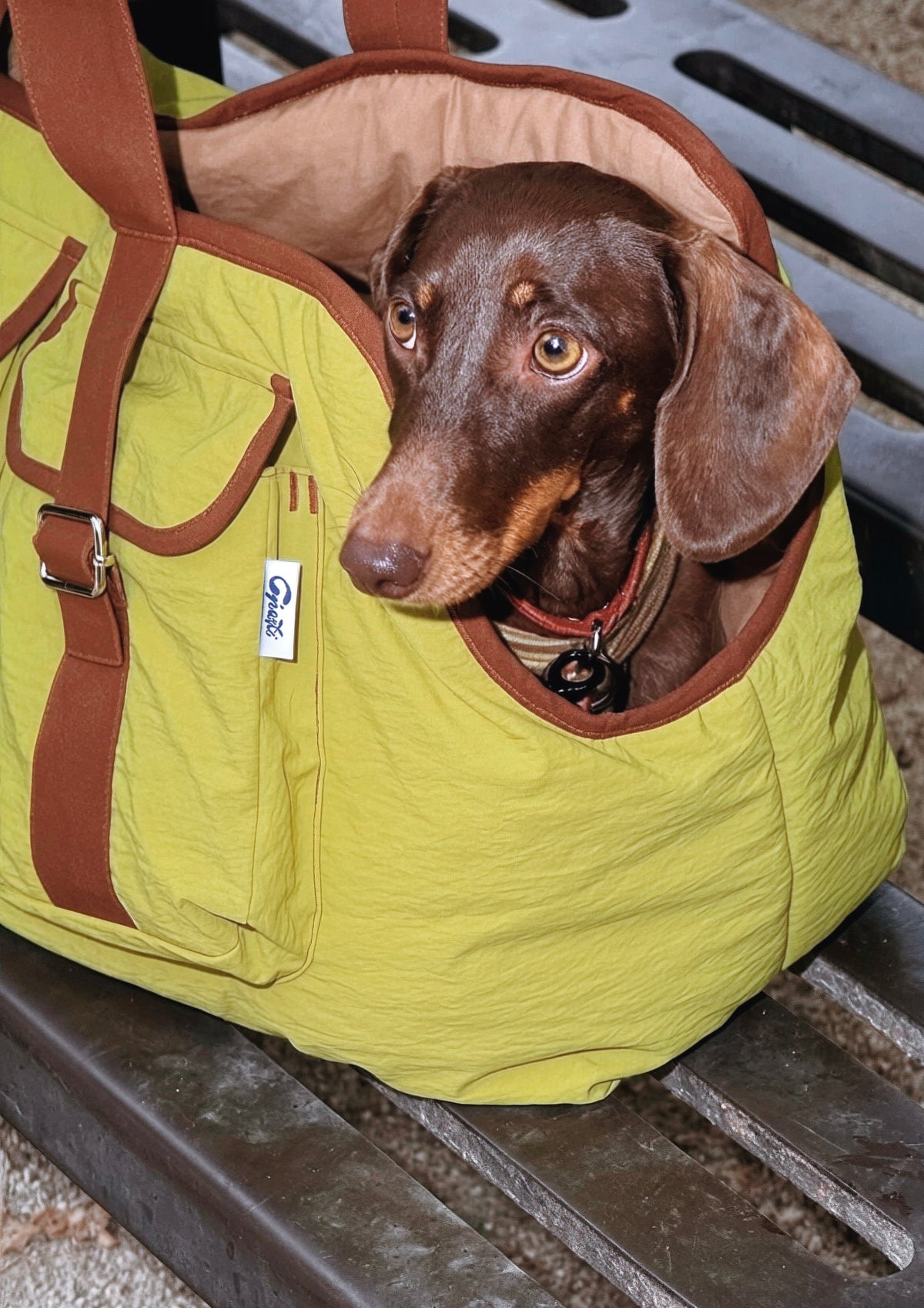 Sac pour Teckel