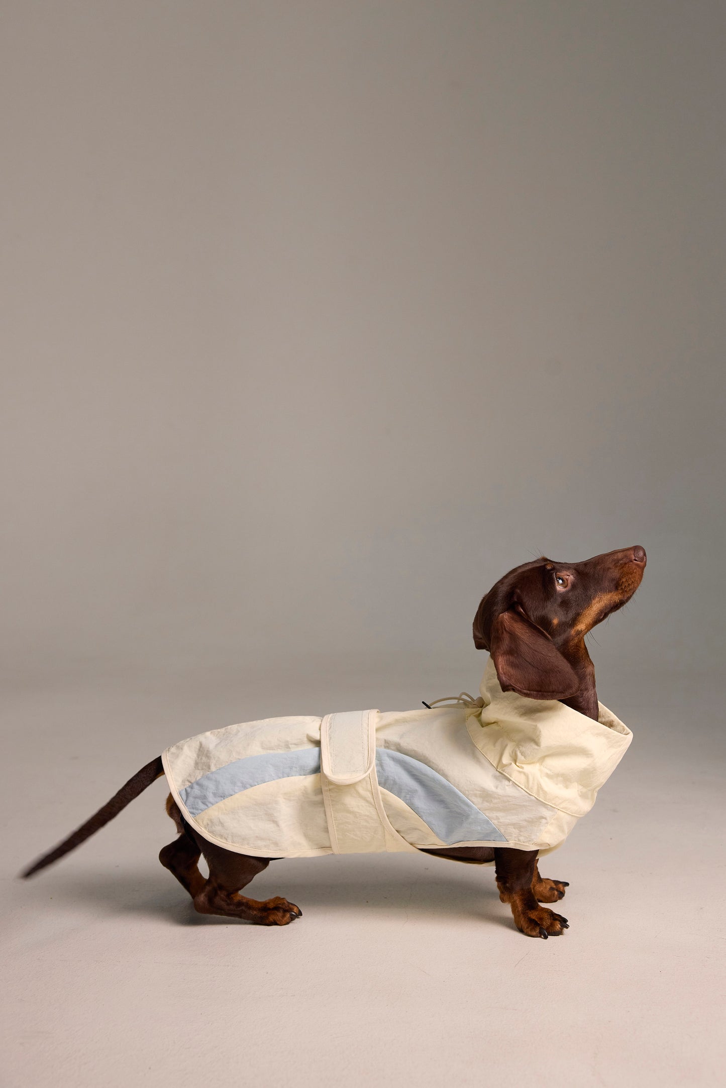 Lightweight Dog Raincoat - Light Color Block