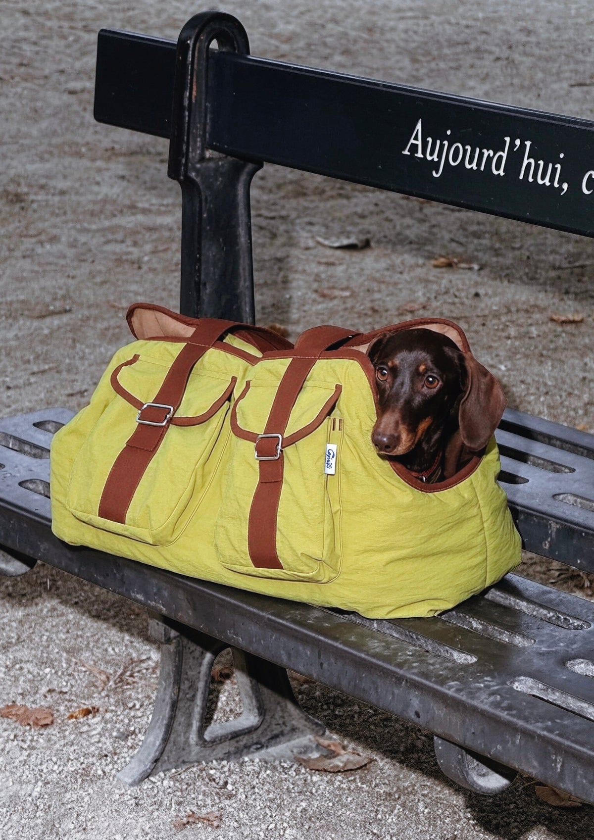 Sac pour Teckel