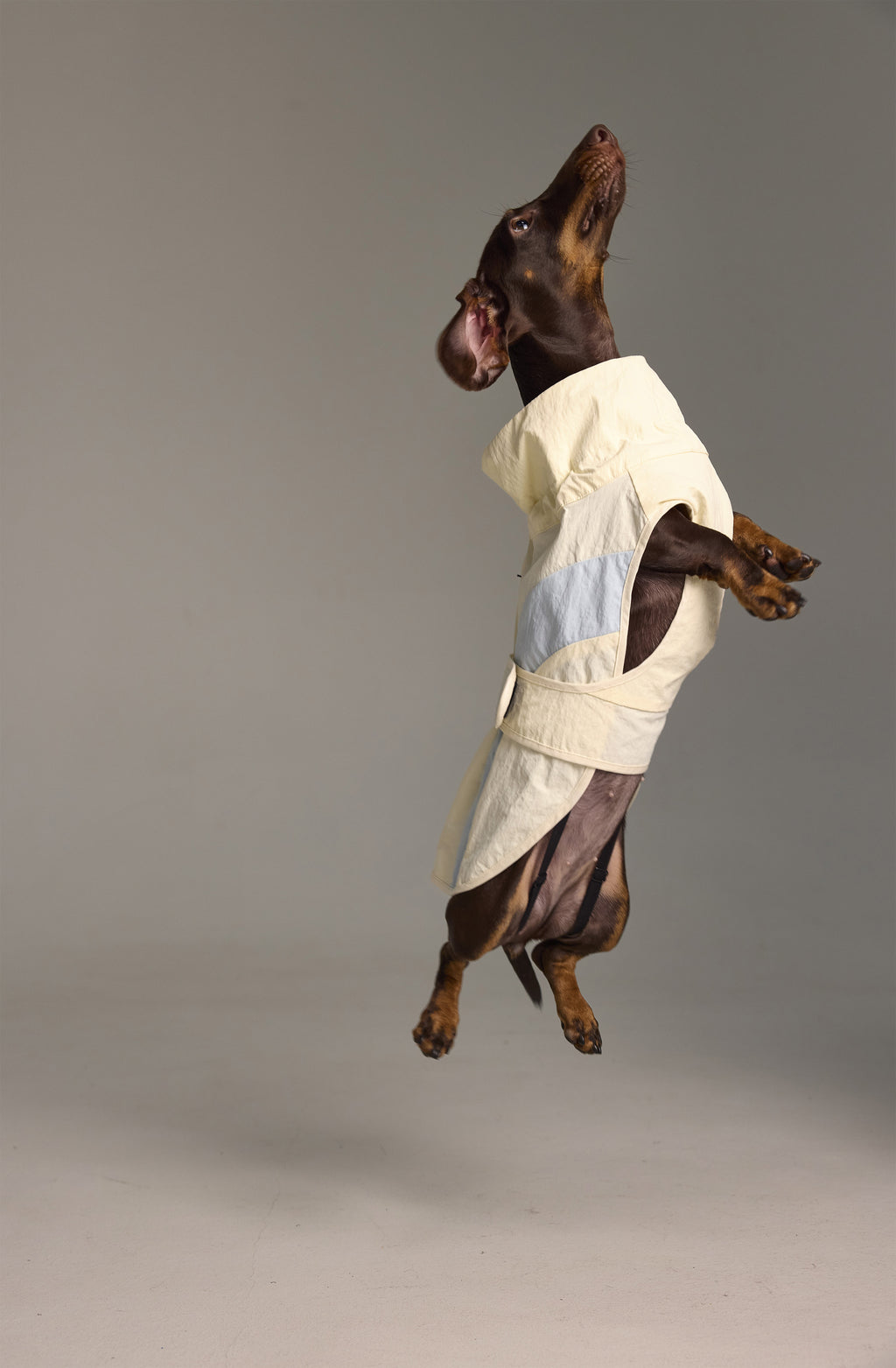 Imperméable léger pour chien - A blocs de couleur Claire