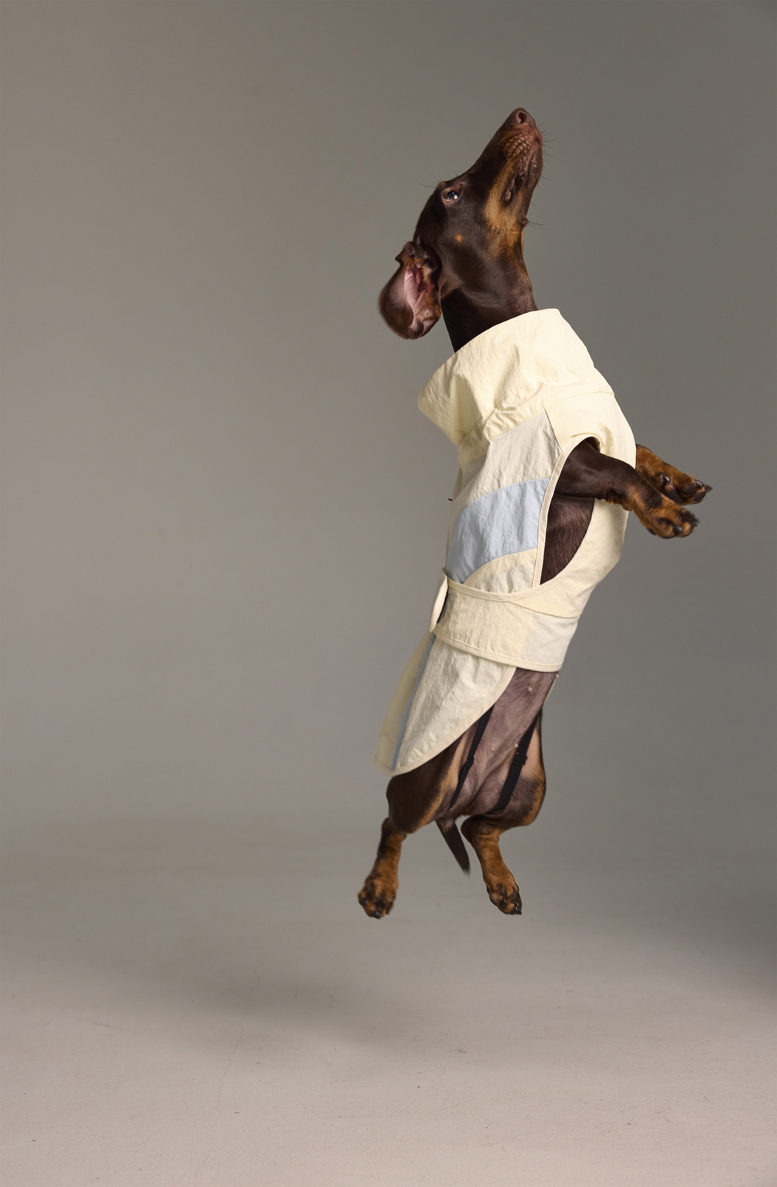 Imperméable léger pour chien - A blocs de couleur Claire