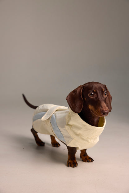 Lightweight Dog Raincoat - Light Color Block