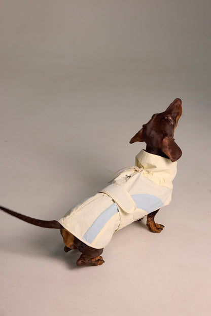 Lightweight Dog Raincoat - Light Color Block