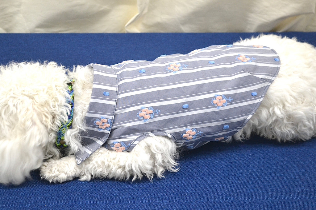 NUOMI Chemise pour chien - Floralies - Gris à rayures