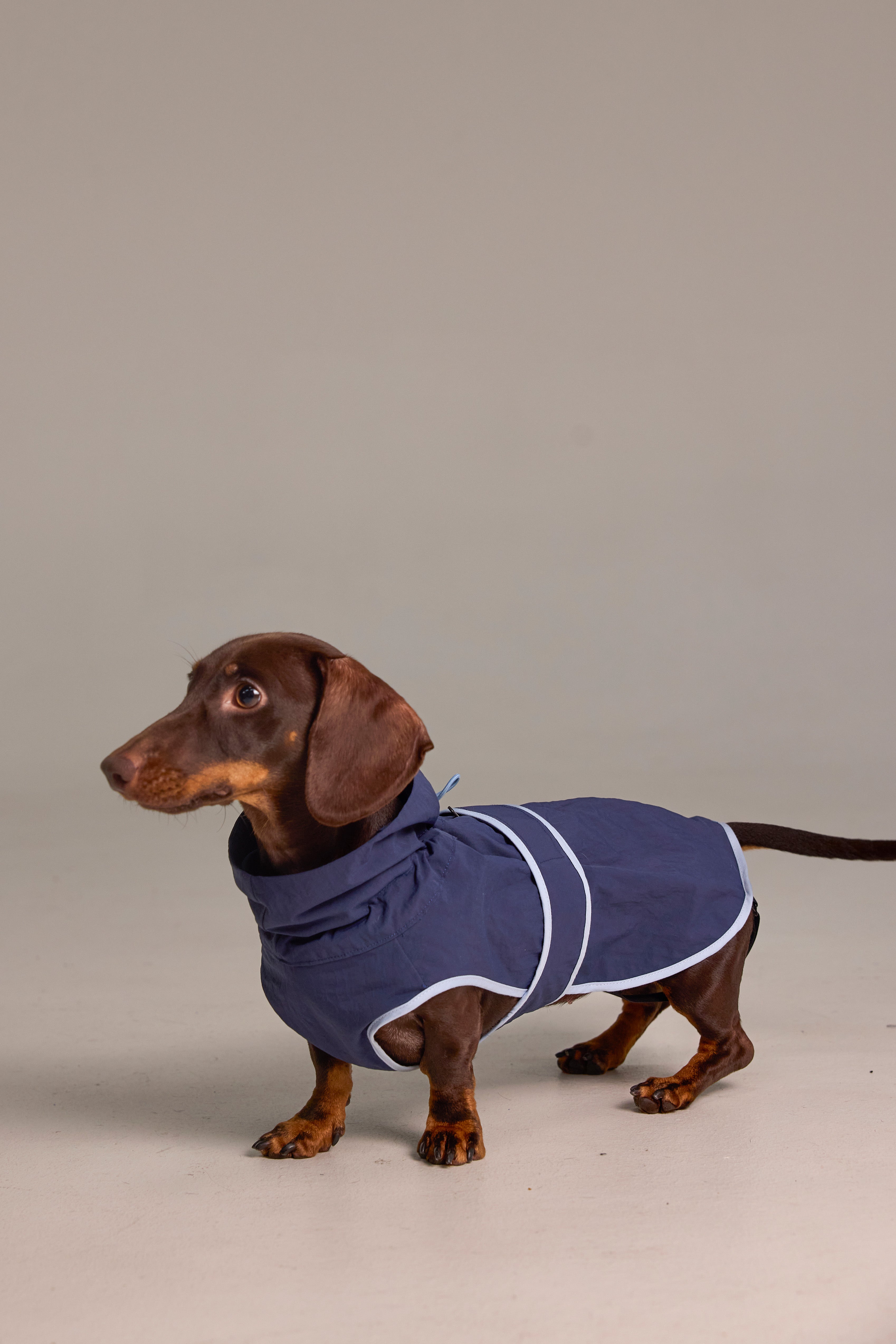 Imperméable léger pour chien - Bleu marine
