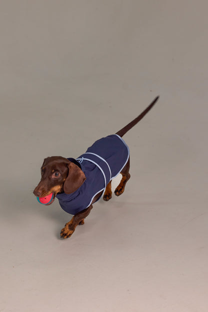 Lightweight dog raincoat - Navy blue