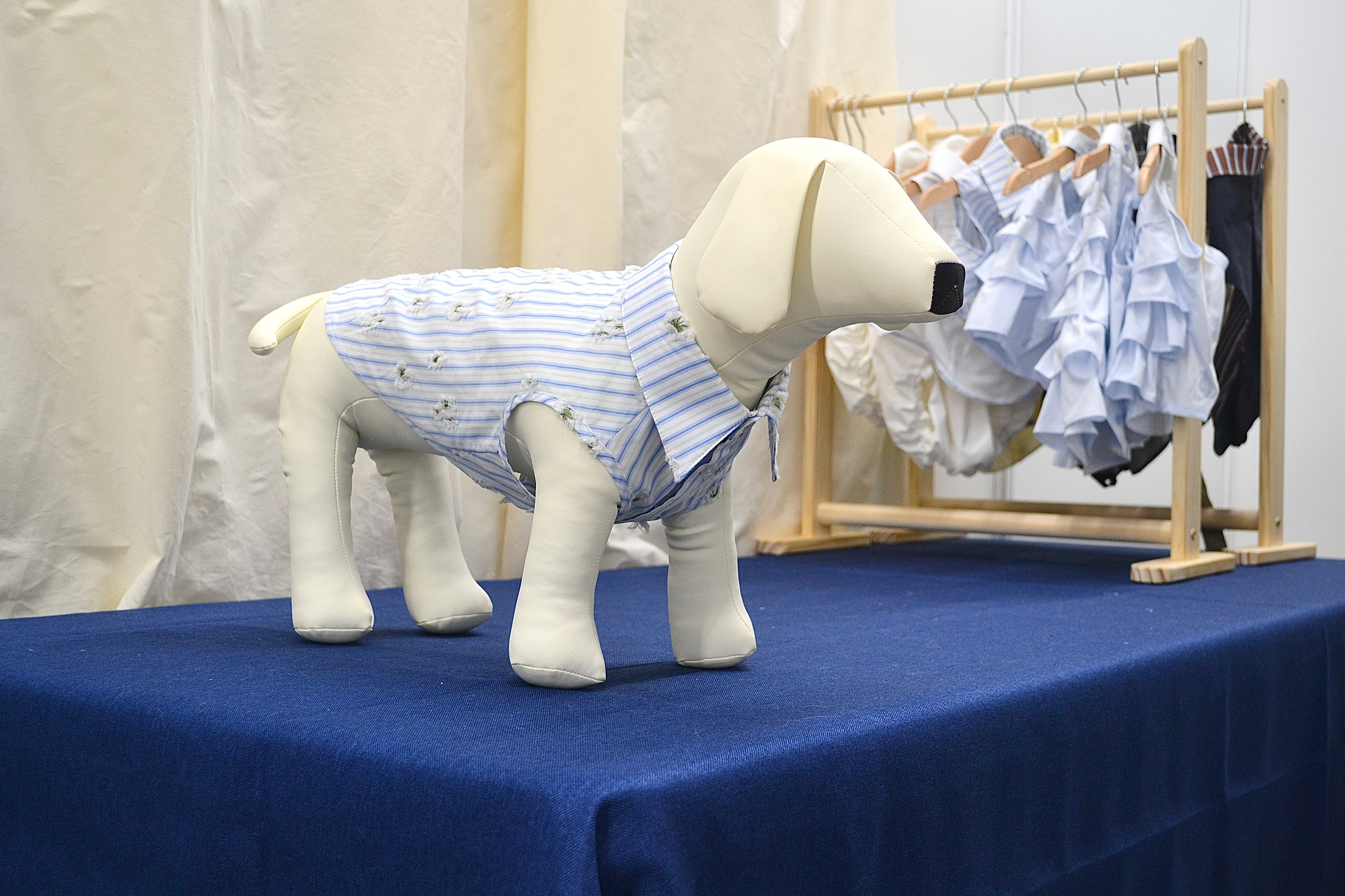 NUOMI Chemise pour chien - Floralies - blanc à rayures