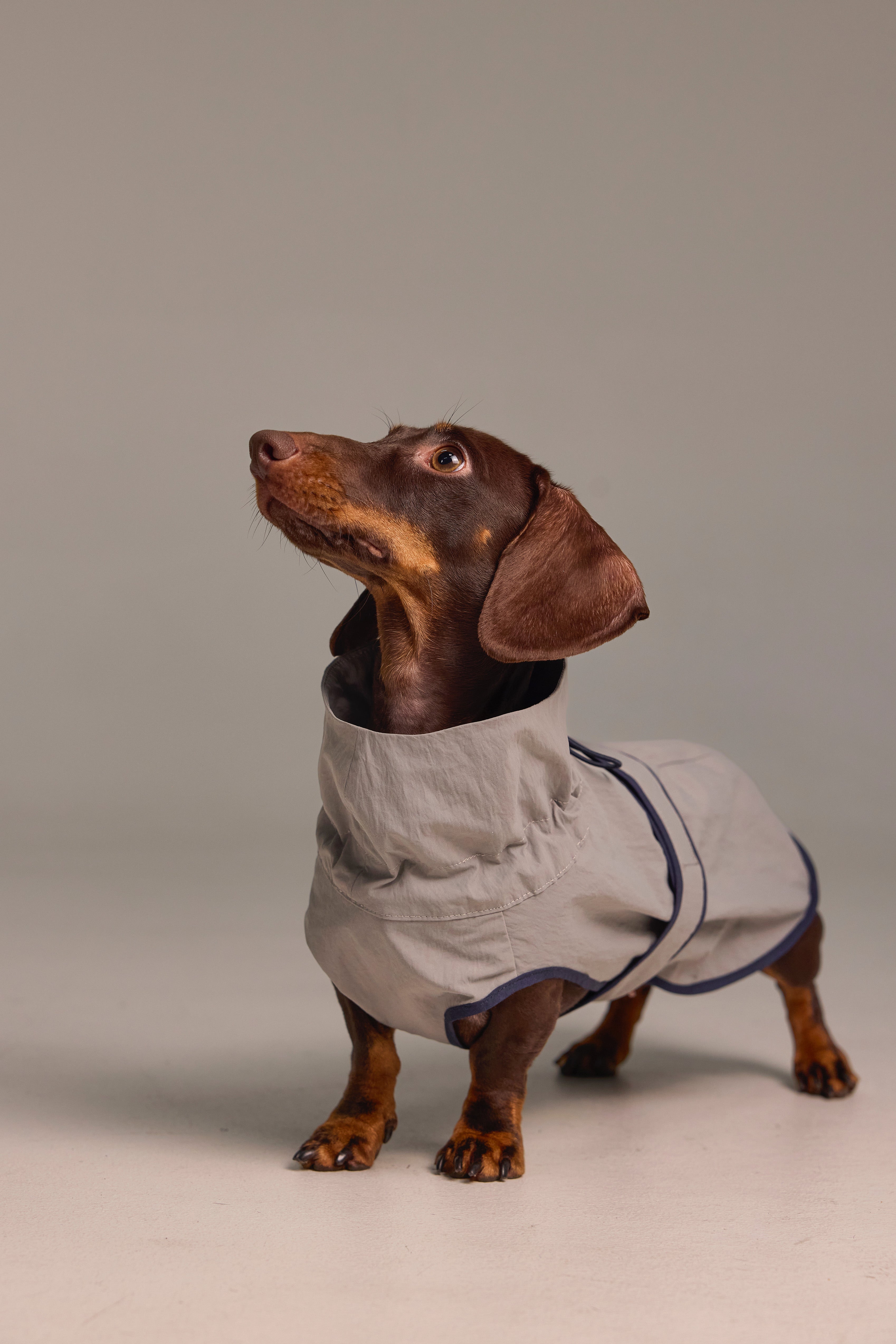 Imperméable léger pour chien - Gris