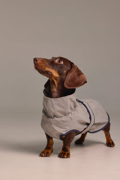 Lightweight dog raincoat - Grey