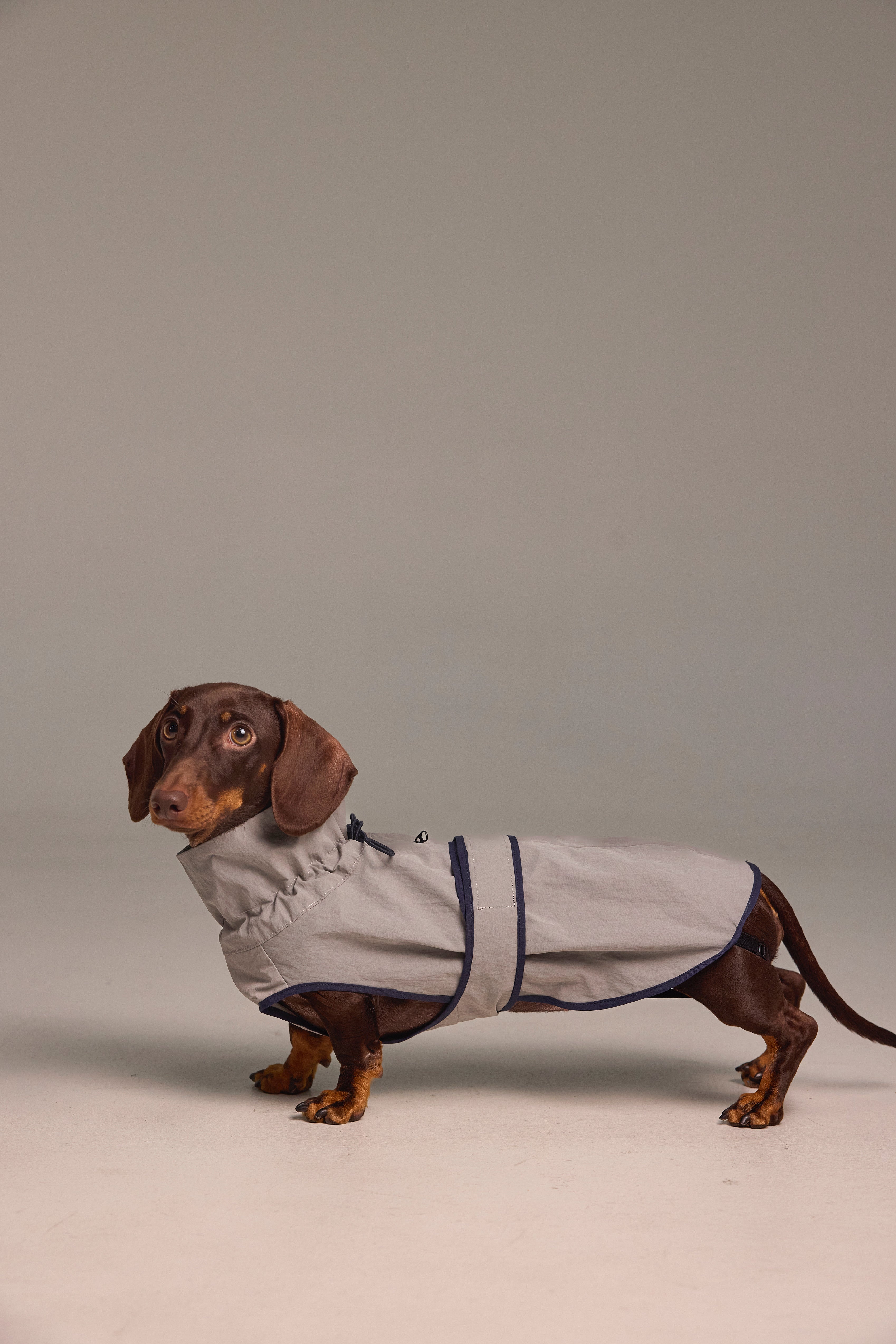 Imperméable léger pour chien - Gris