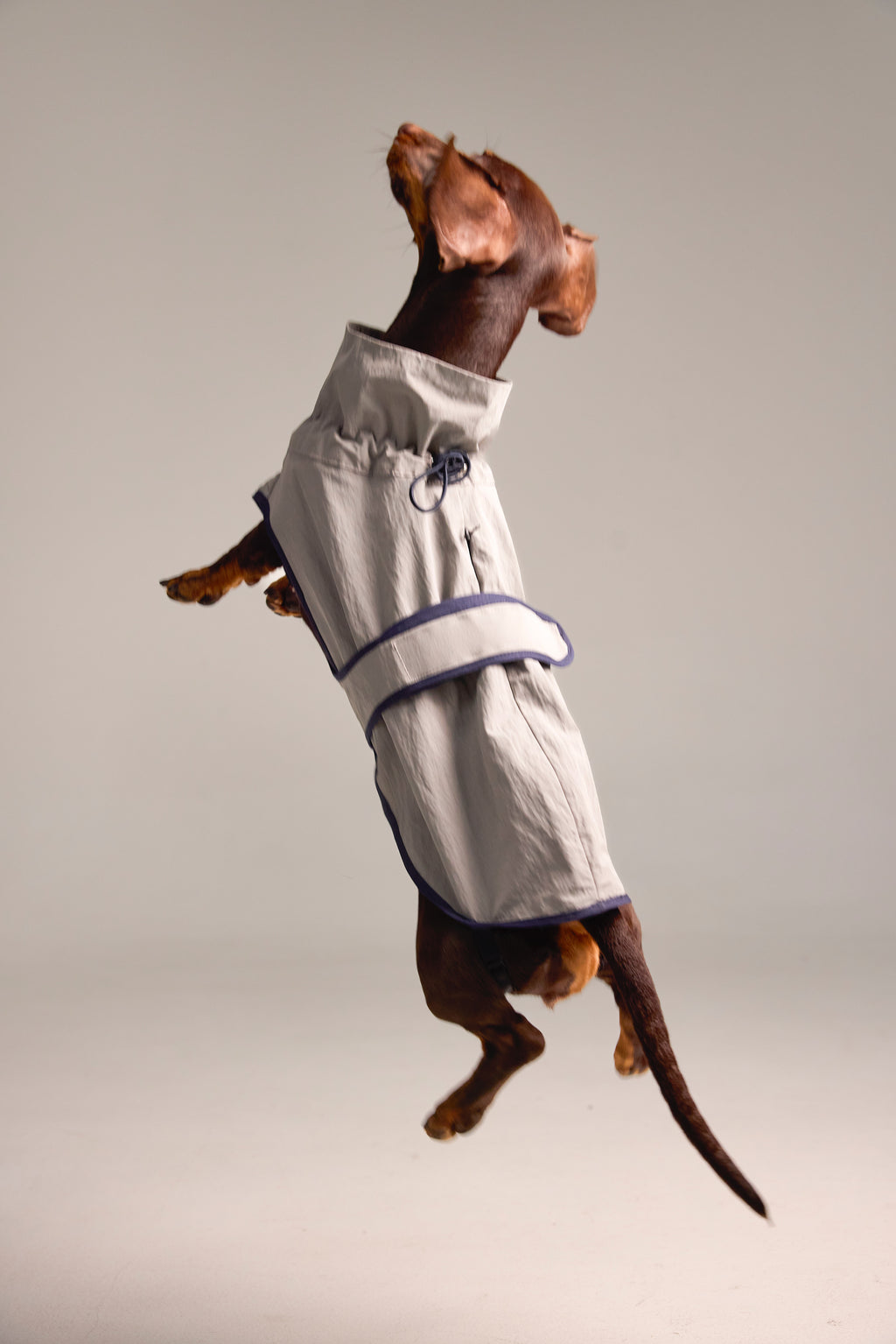 Imperméable léger pour chien - Gris