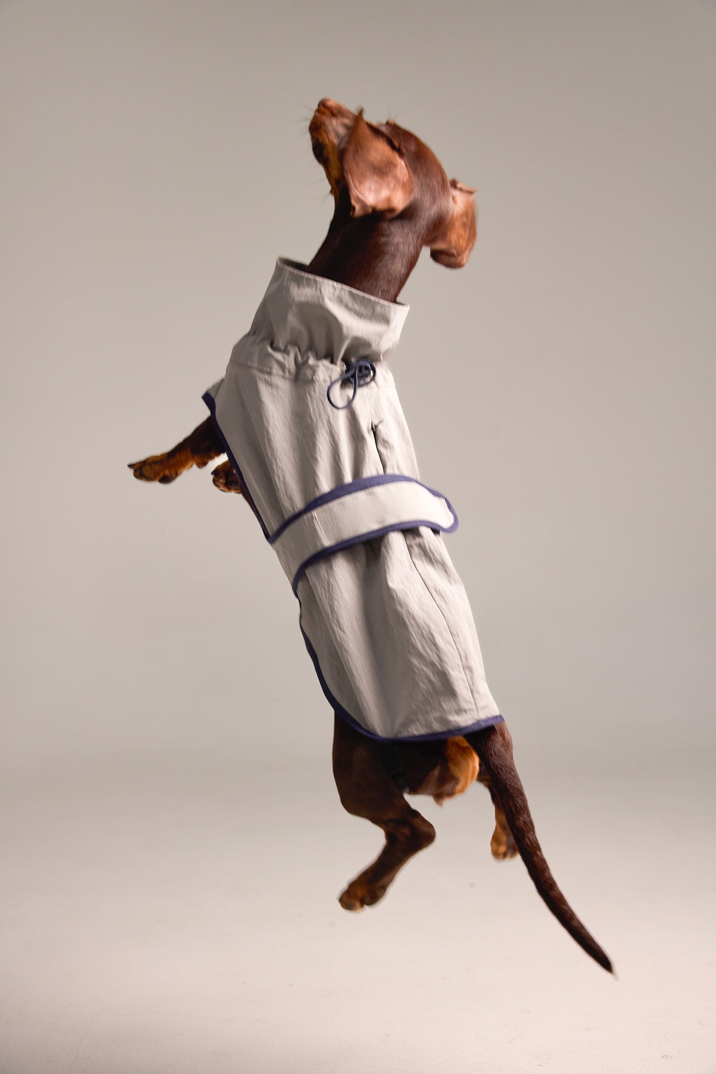Lightweight dog raincoat - Grey