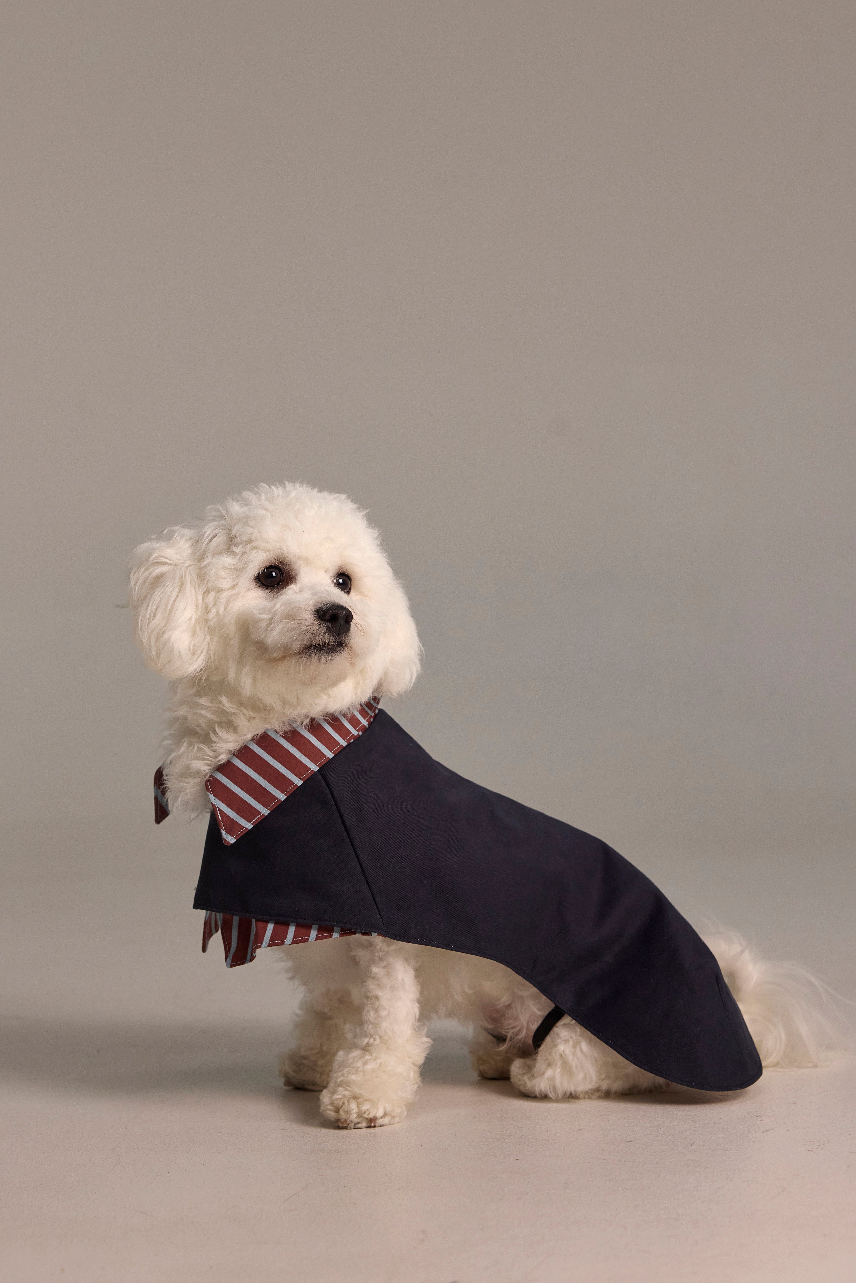 Trench coat 2-EN-1 pour chien