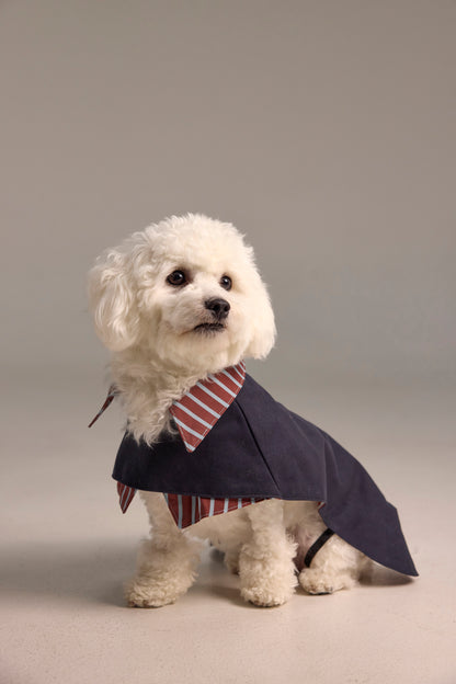 2-IN-1 dog trench coat