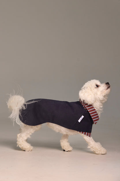 2-IN-1 dog trench coat