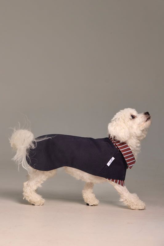 2-IN-1 dog trench coat