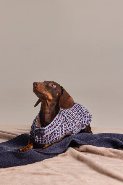 Reversible quilted vest in exclusive jacquard for Dachshund