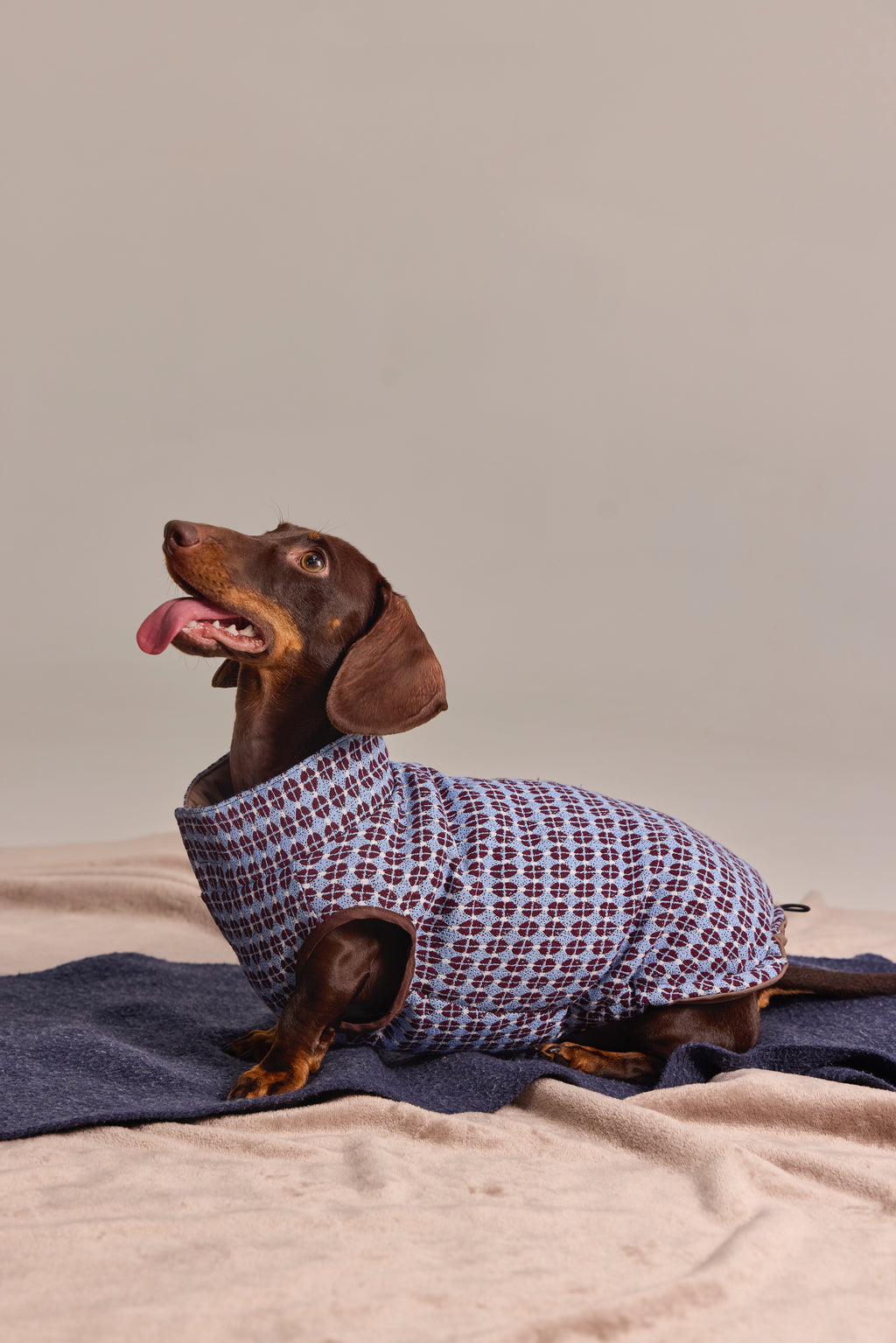 Gilet matelassé réversible en jacquard exclusif pour Teckel