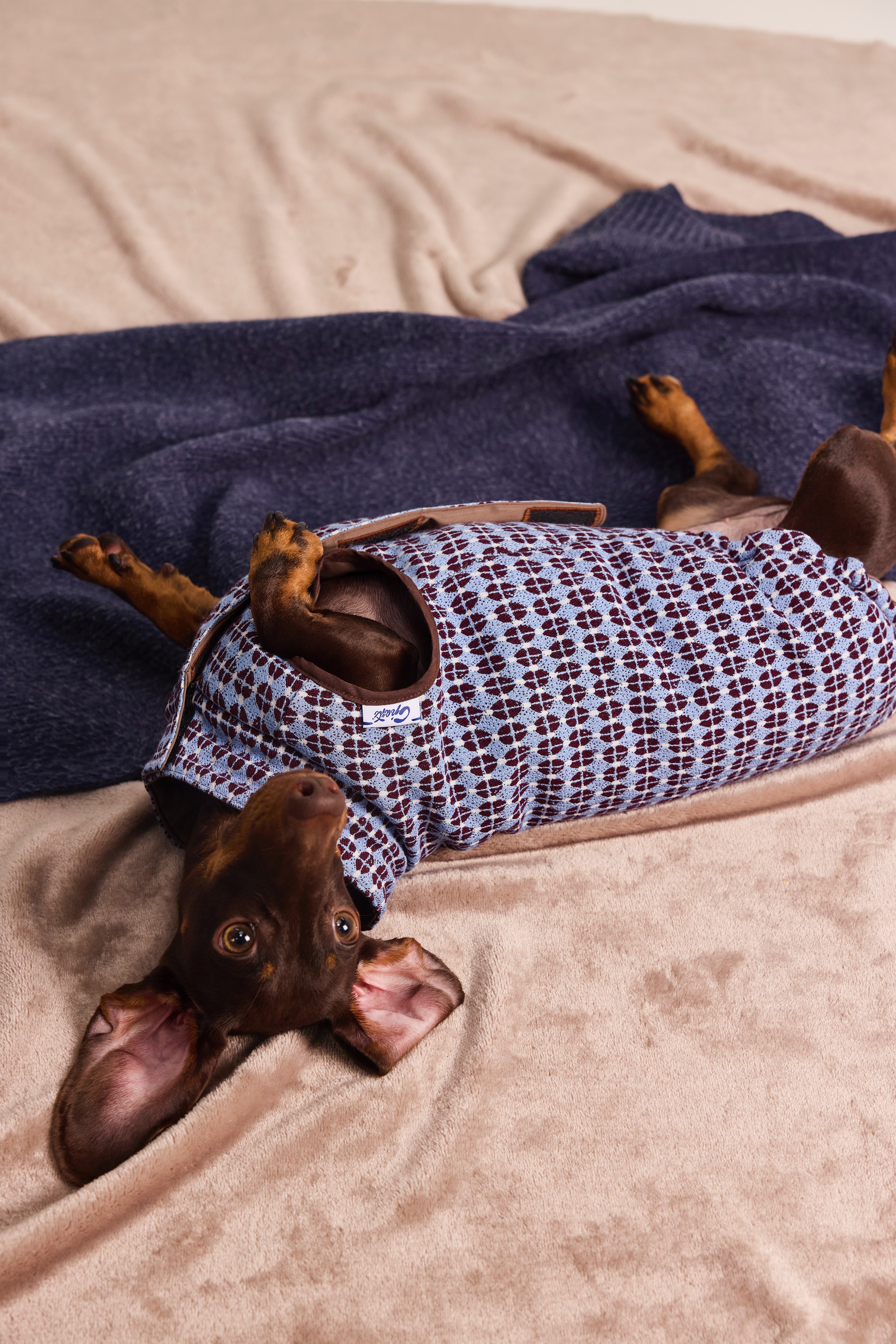 Gilet matelassé réversible en jacquard exclusif pour Teckel