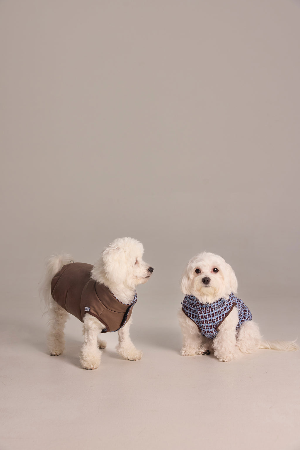 Gilet matelassé réversible en jacquard exclusif pour chien
