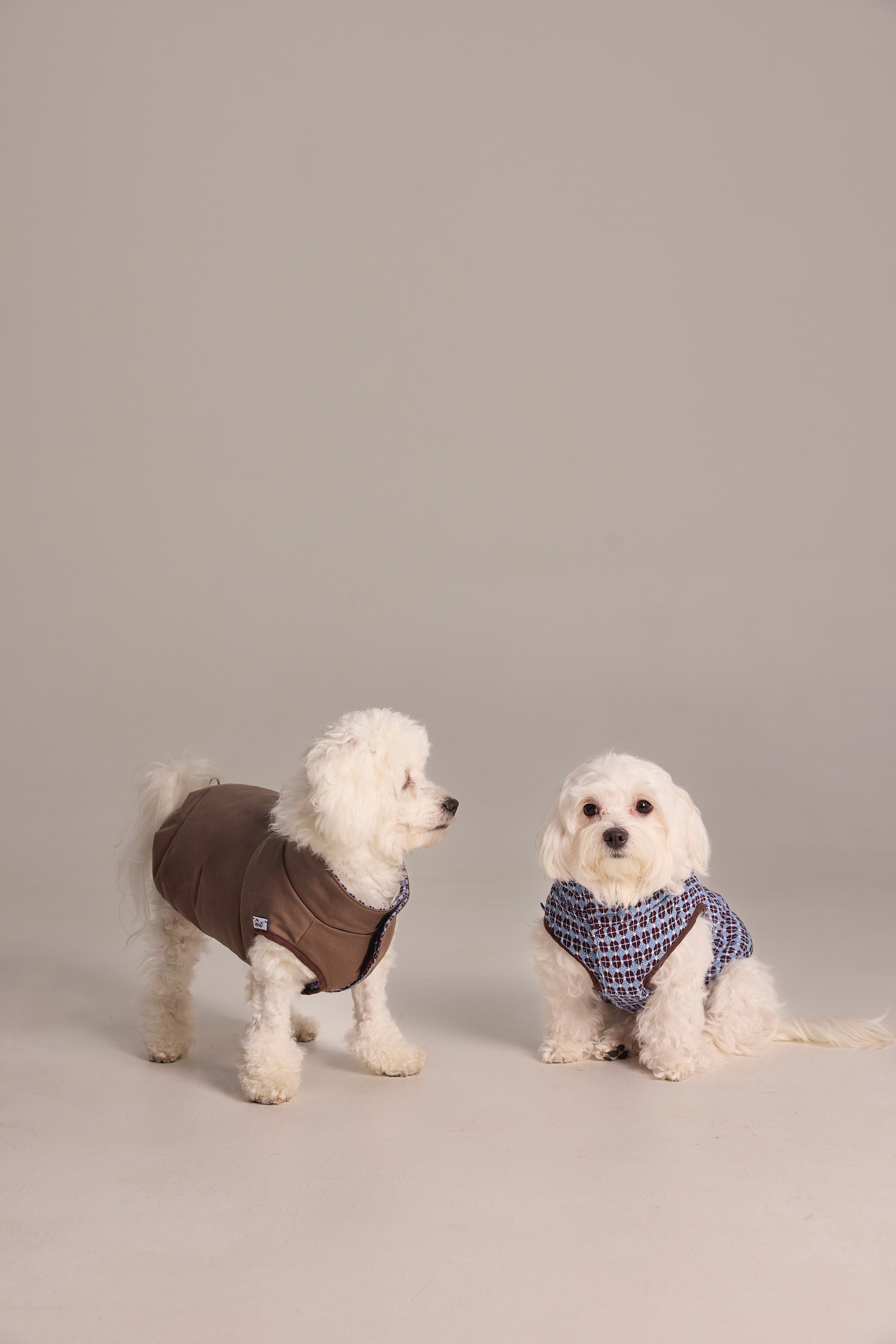 Gilet matelassé réversible en jacquard exclusif pour chien