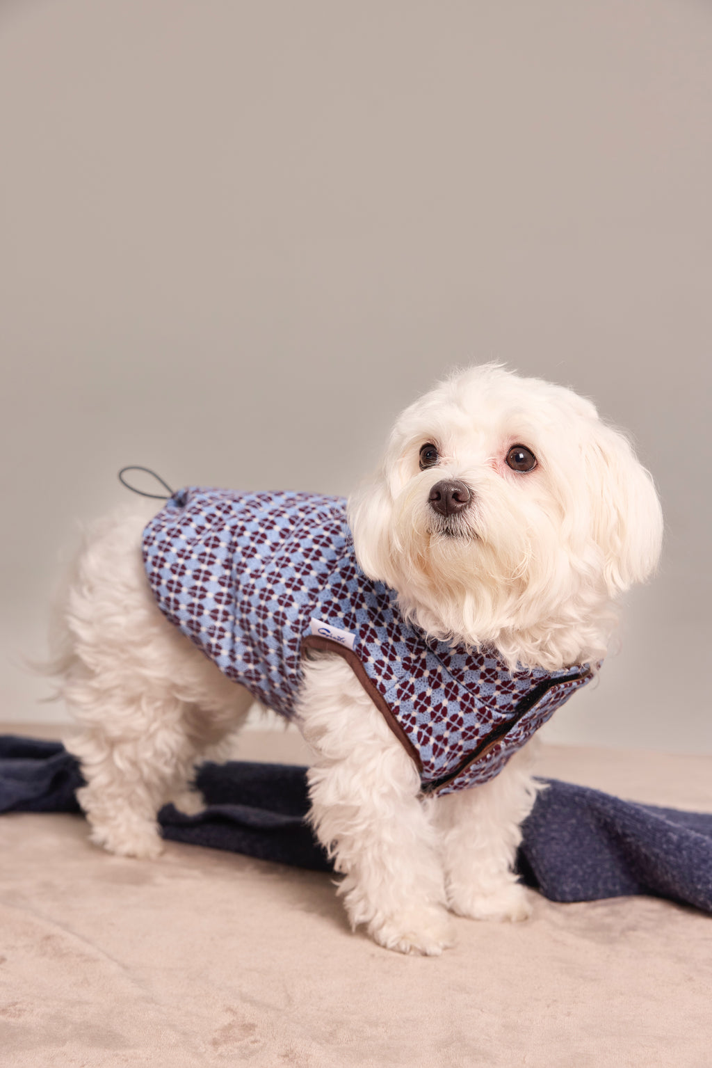 Gilet matelassé réversible en jacquard exclusif pour chien