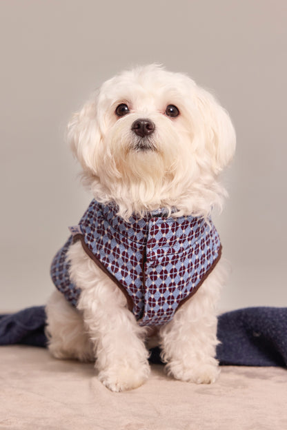 Reversible quilted vest in exclusive jacquard for dogs