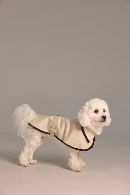 classic dog cape