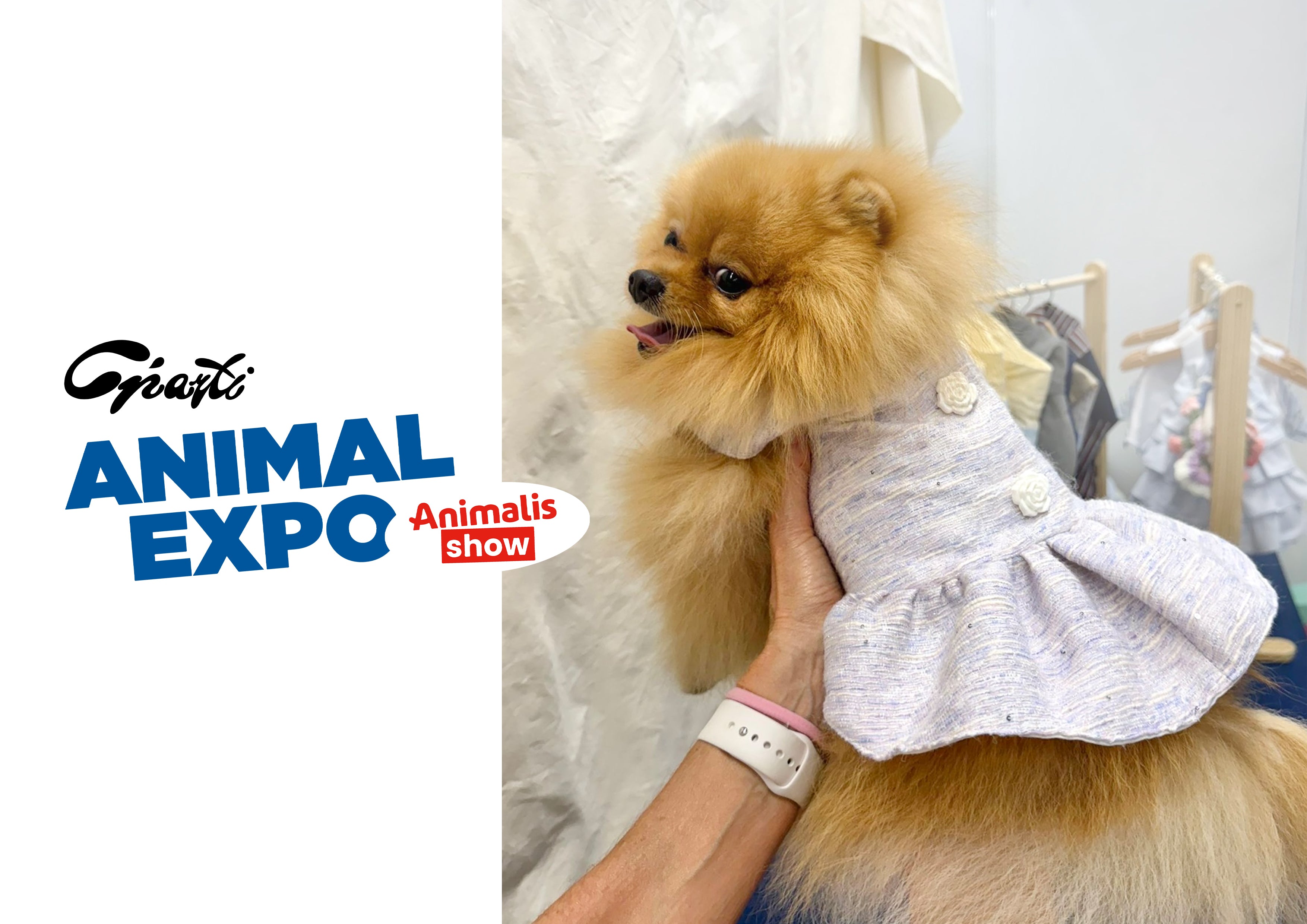 Robe Nelchan pour chien - Couture