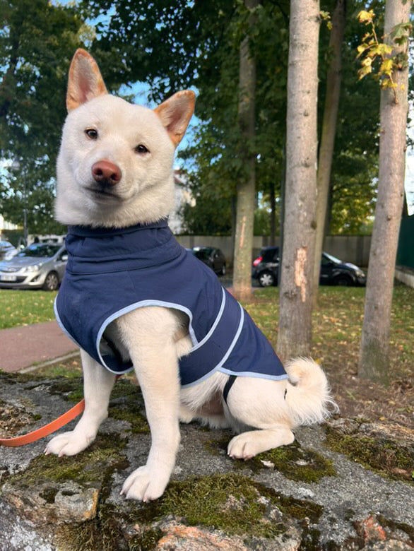 HUSHBABY Imperméable pour chien - Couleur Uni