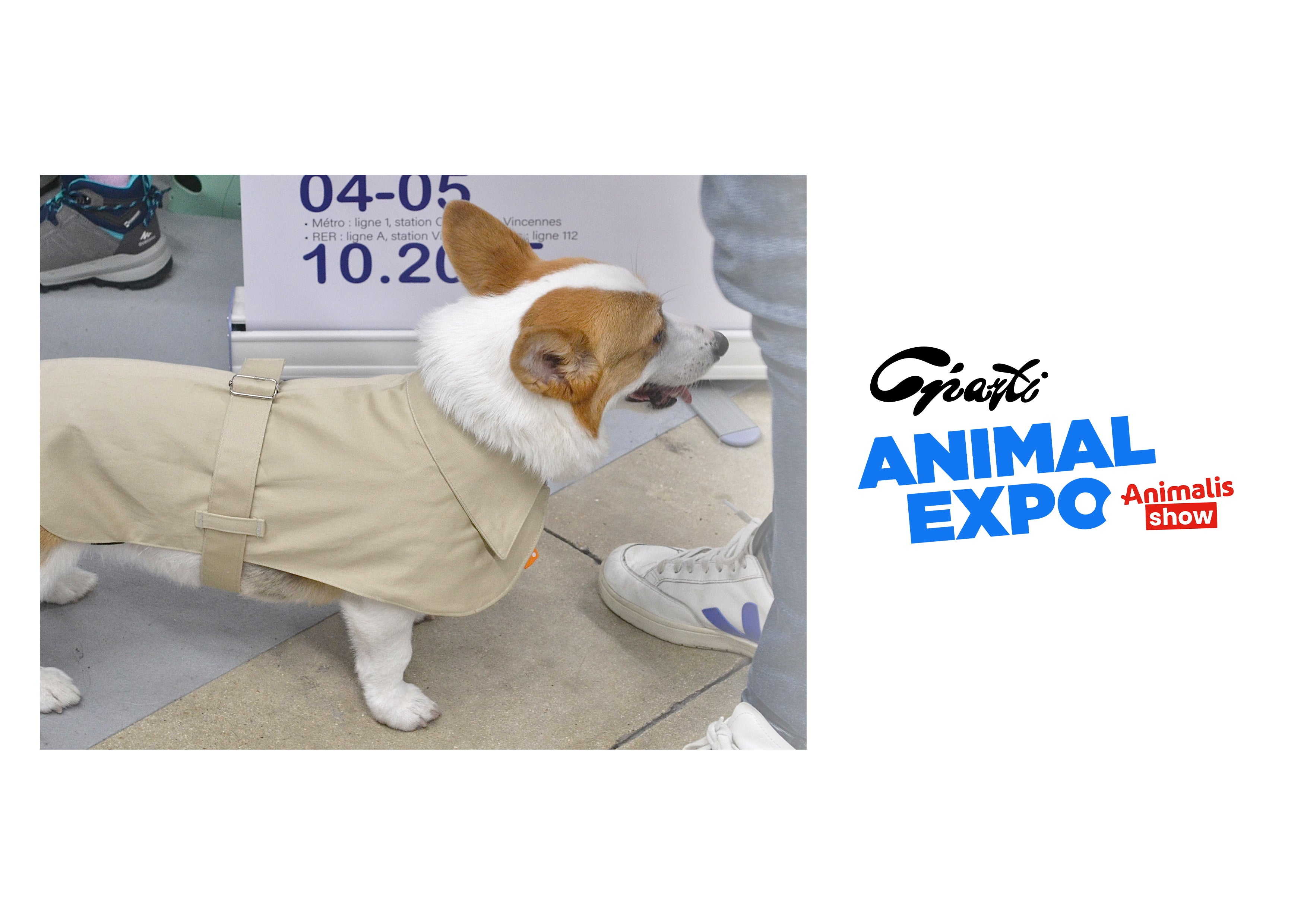 Tuan Trench coat pour chien