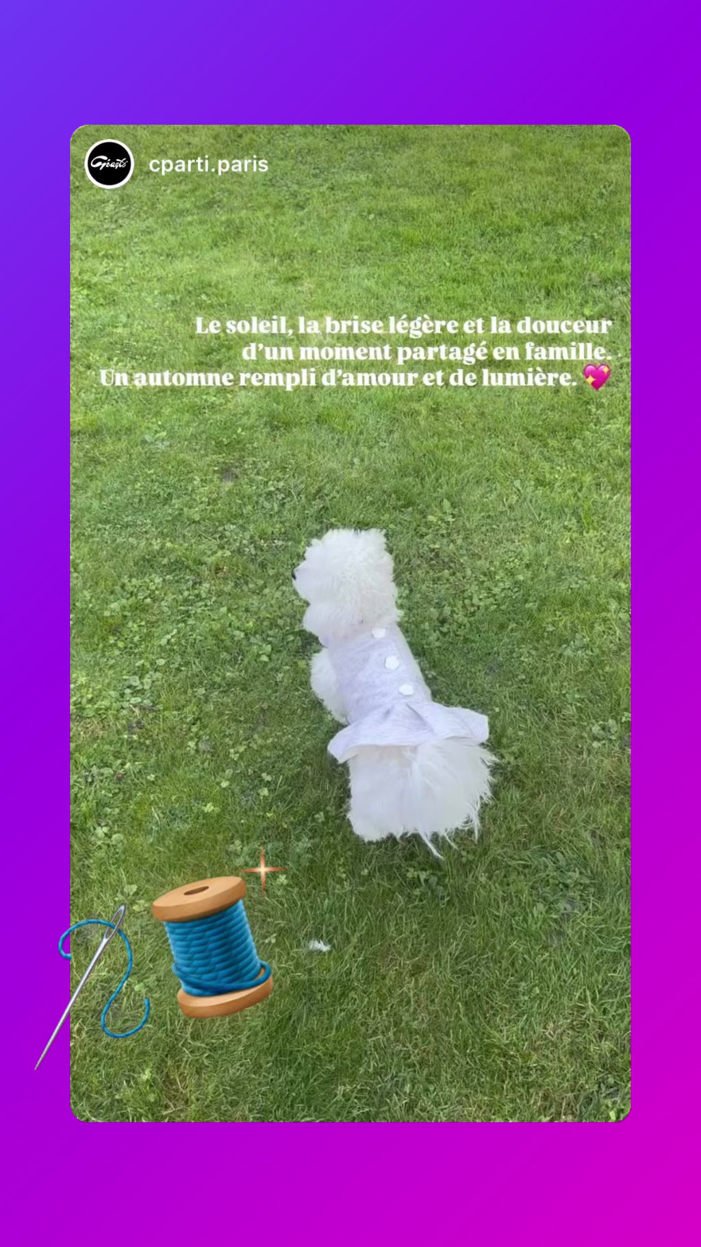 Robe Nelchan pour chien - Couture