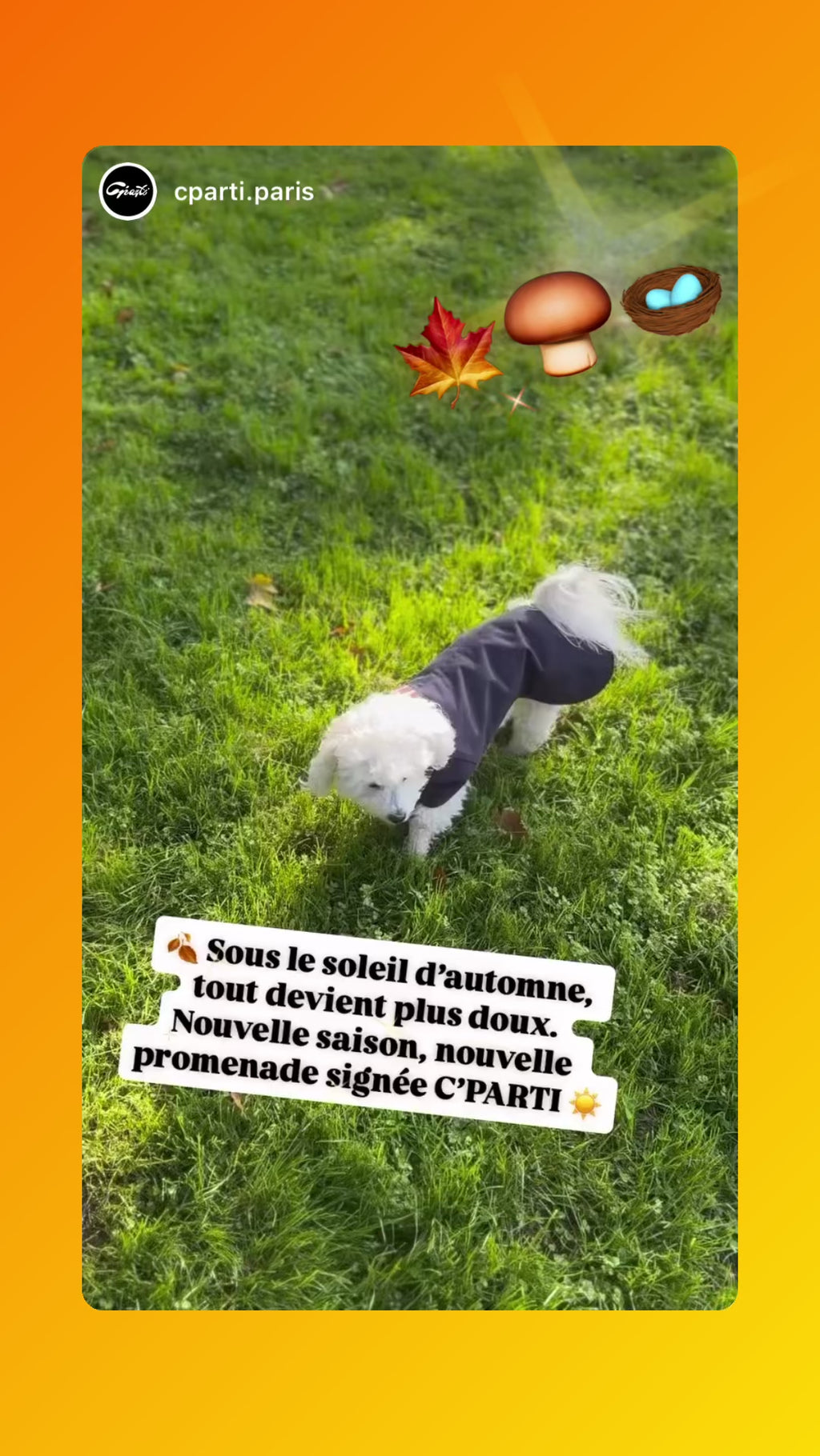 2-EN-1 Trench coat pour chien