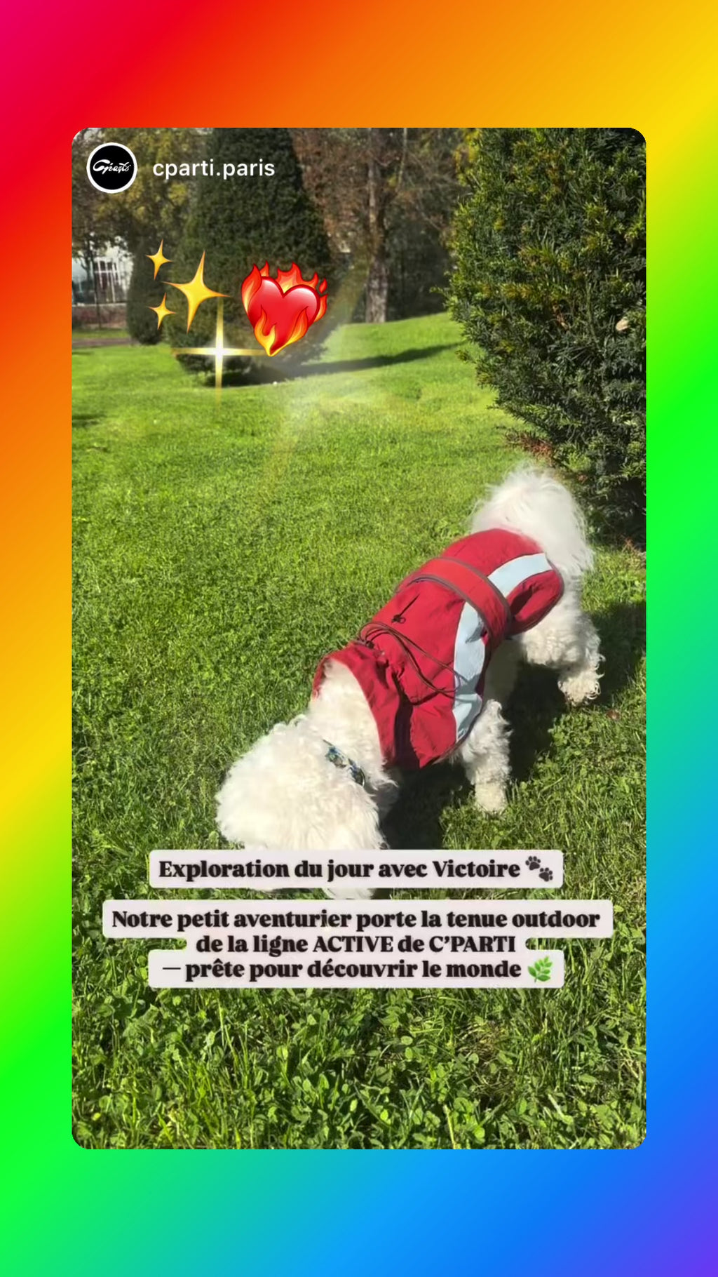 HUSHBABY Imperméable pour chien- A blocs de couleur