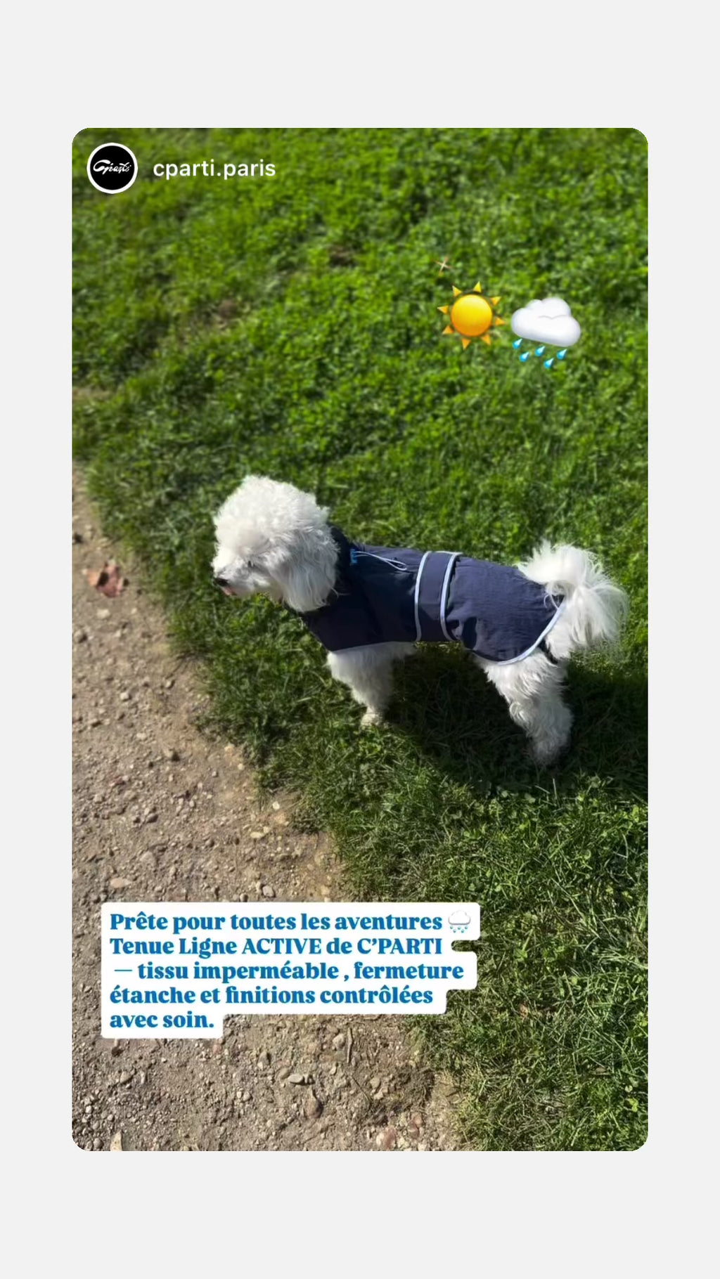 HUSHBABY Imperméable pour chien - Couleur Uni