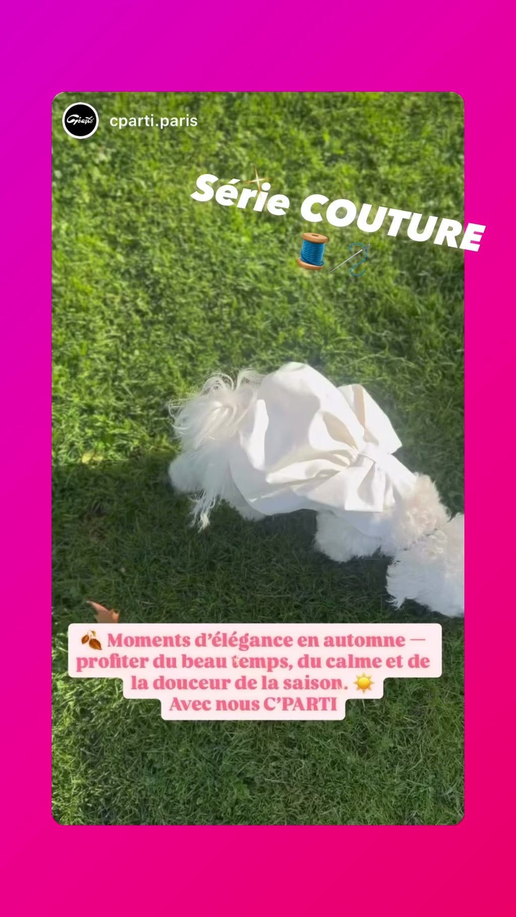 Robe Bouffante pour chien - Couture